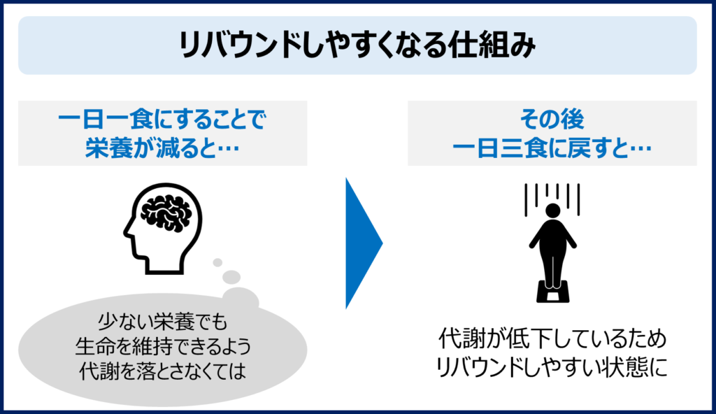 一日一食の効果とは？7つのメリットと5つのリスクを詳しく解説