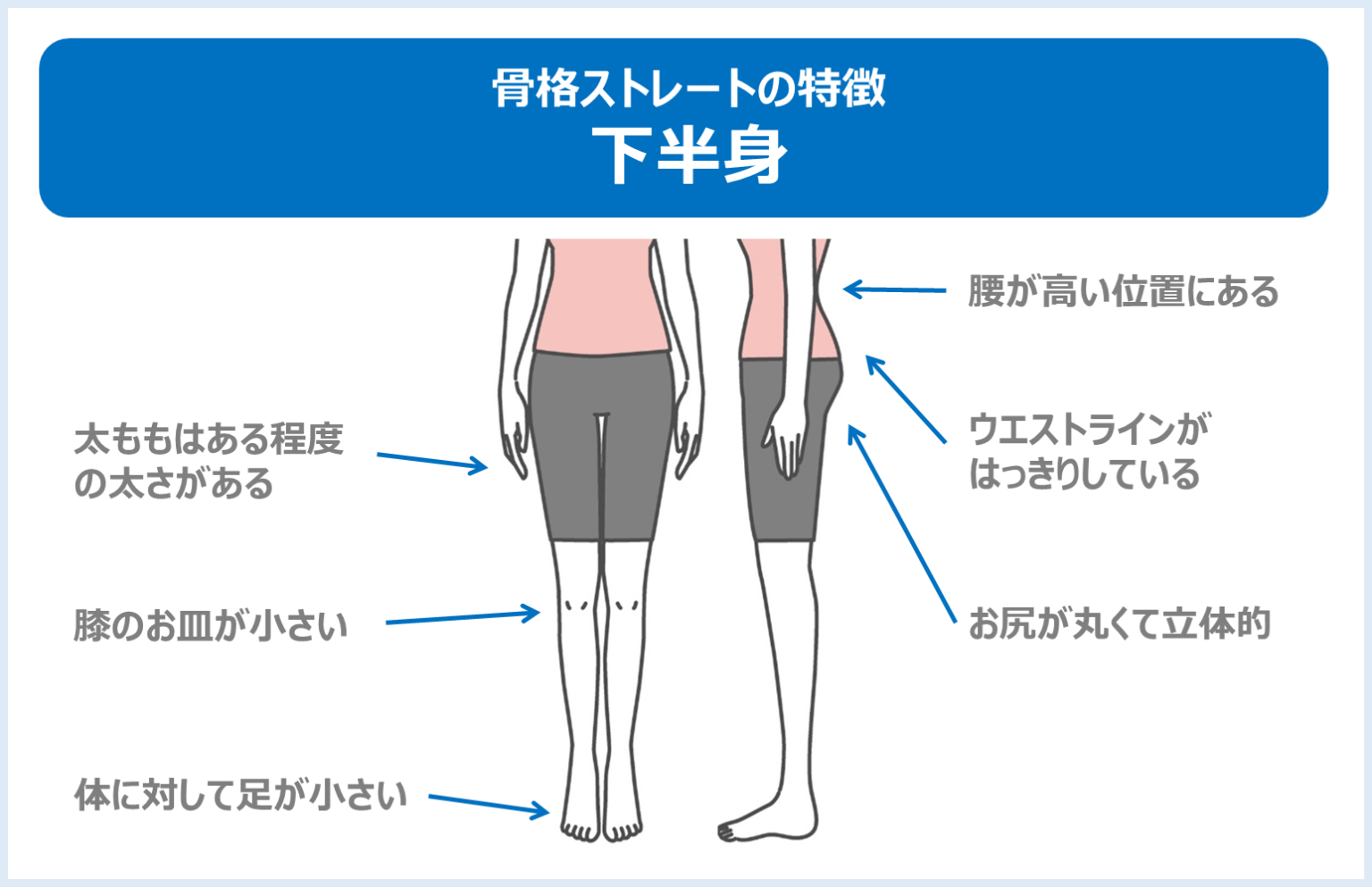骨格ストレートのダイエットの基本|効果的な運動・食事のポイント
