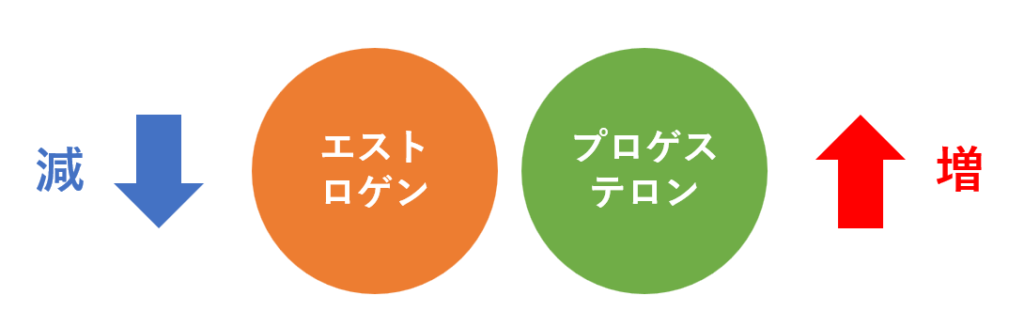 生理中はダイエットの休息日 ダイエットを休むべき理由と生理中の過ごし方